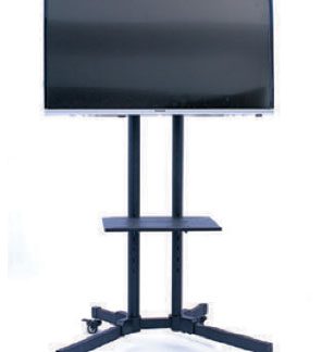 42’’ Smart TV with stand (per Expo)